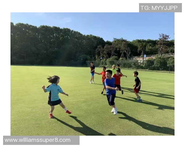 南京网球队区域防守分析:优势与不足的全面探讨 南京网球队区域防守分析:优势与不足的全面探讨