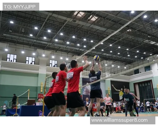 成都排球队引领最新排球意识TOP10榜单展现实力与风采 成都排球队引领最新排球意识TOP10榜单展现实力与风采