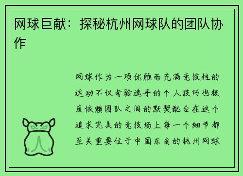 网球巨献：探秘杭州网球队的团队协作