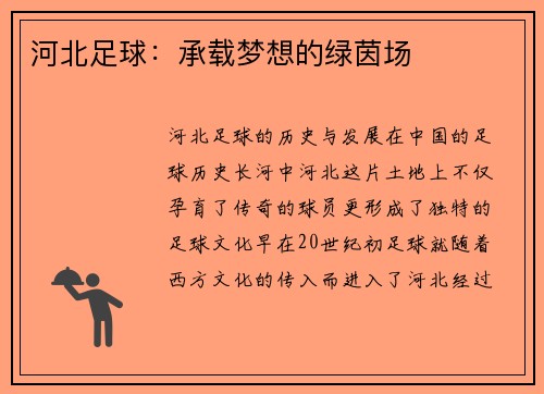 河北足球:承载梦想的绿茵场