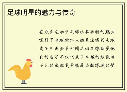 足球明星的魅力与传奇
