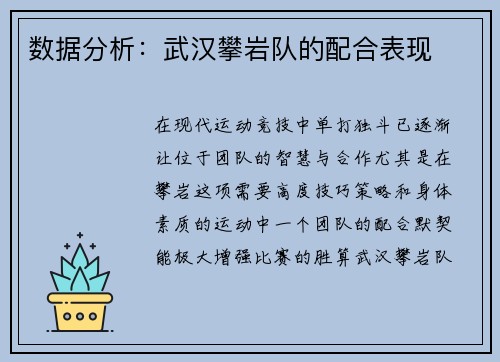 数据分析：武汉攀岩队的配合表现