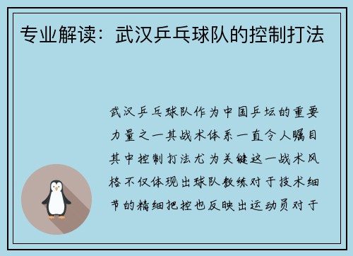 专业解读：武汉乒乓球队的控制打法
