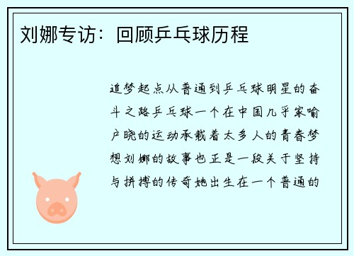 刘娜专访:回顾乒乓球历程